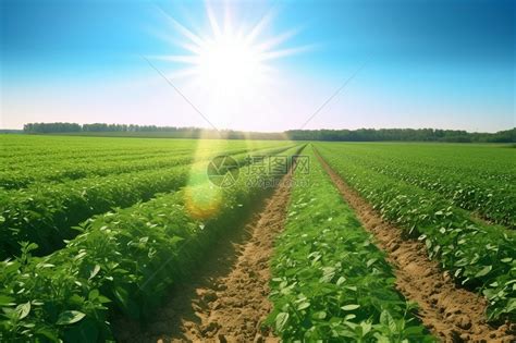 什么房子有横财偏财,什么样的风水容易有横财_,第3张 什么房子有横财偏财,什么样的风水容易有横财_,第3张